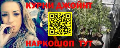 PSILOCYBIN Бугуруслан