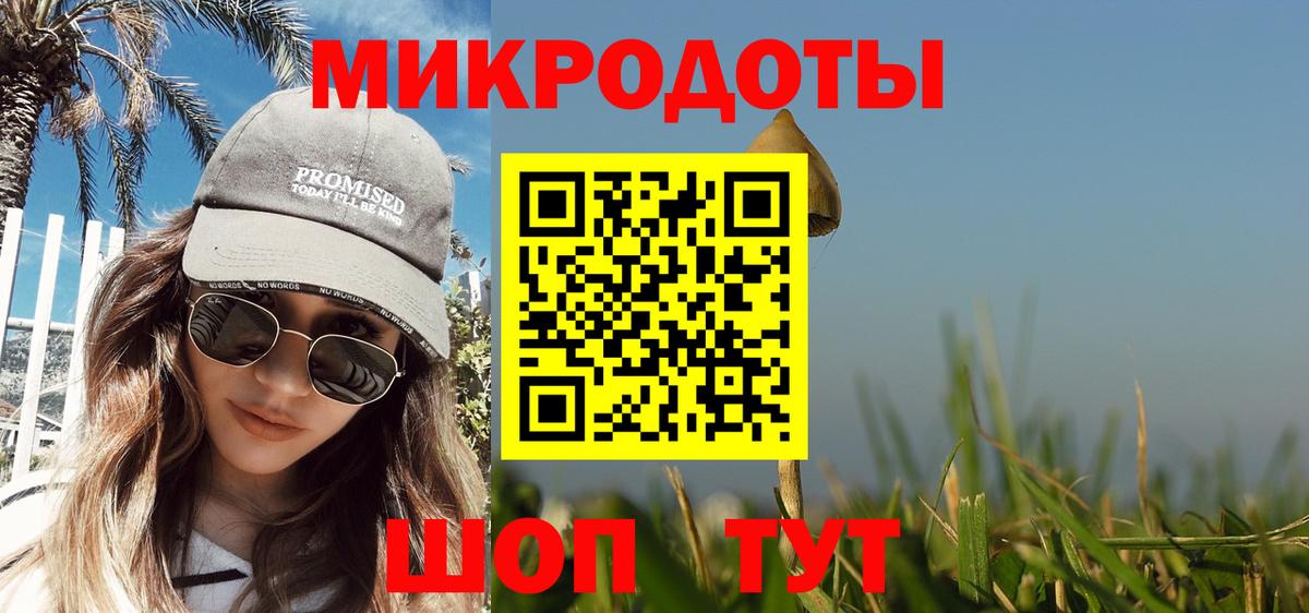 Псилоцибиновые грибы прущие грибы  Вход с VPN  Кузнецк  Галлюциногенные грибы Psilocybine cubensis 